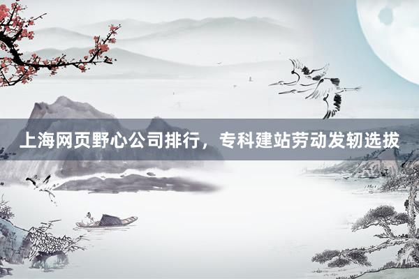 上海网页野心公司排行，专科建站劳动发轫选拔