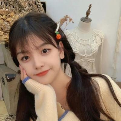 南非三明治（电影）